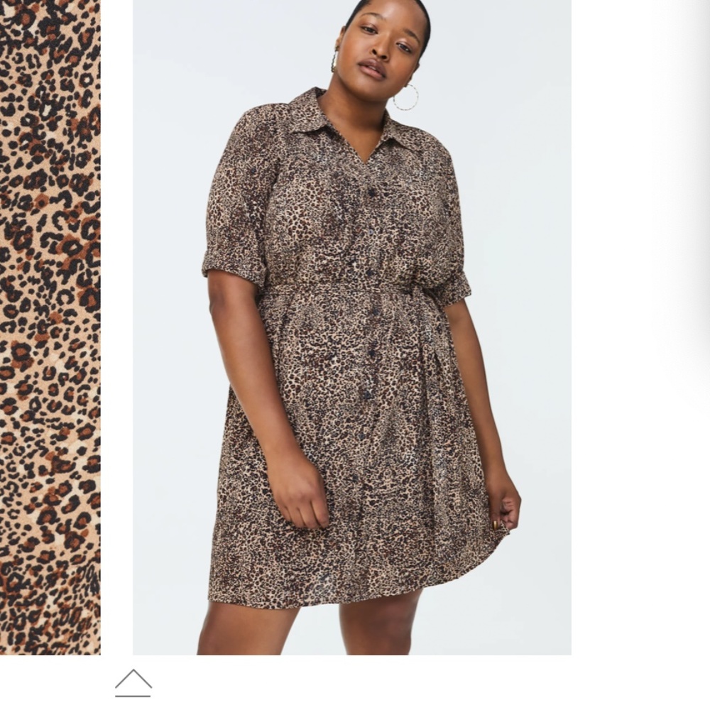1. State Leopard print shirt dress 1X